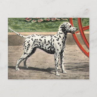 Carte postale Vintage Dalmatie