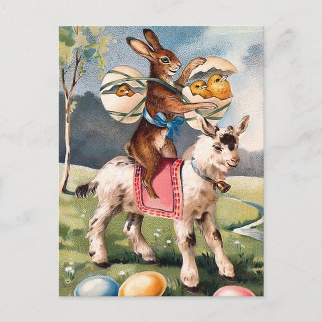 Carte postale vintage de lapin de Pâques (Devant)