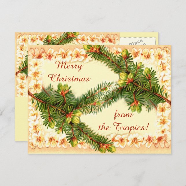 Carte postale Vintage de Noël (Devant / Derrière)