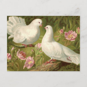 Carte Postale Vintage deux colombes de Pâques et roses roses ros