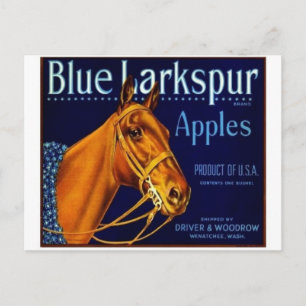 Carte postale vintage du Étiquette Crate