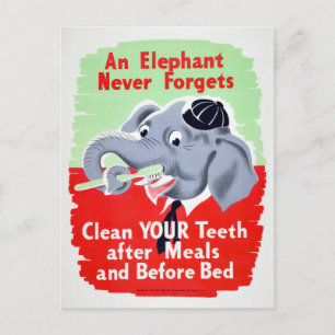 Carte Postale Vintage Elephant Dentist Broncent vos dents