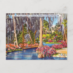 Carte postale vintage Florida Cypress Gardens Trav