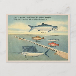 Carte Postale Vintage Florida Keys Fishing