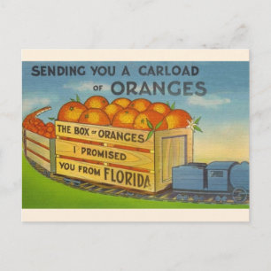 Carte postale vintage Florida Oranges
