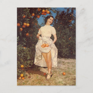 Carte postale vintage Florida Oranges
