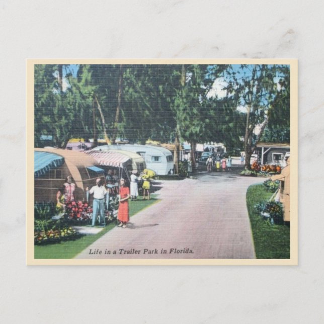 Carte Postale Vintage Florida Trailer Park (Devant)