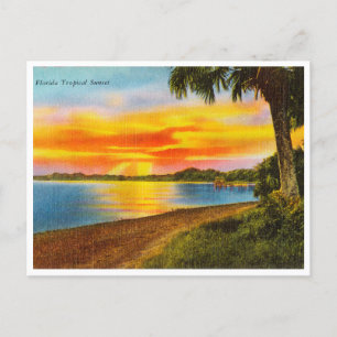 Carte postale vintage Floride Tropical Sunset Trav