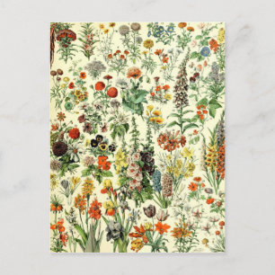 Carte Postale Vintage Flowers Old Illustration Art