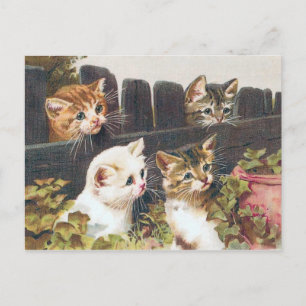 Carte Postale vintage "Four Kittens"