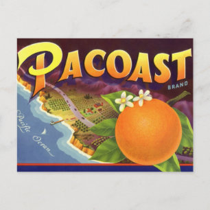 Carte Postale Vintage Fruit Crate Art Étiquette, Oranges Pacoast