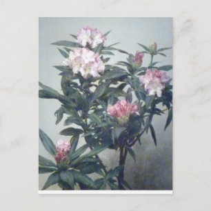 Carte Postale Vintage Henri Latour Branche du Rhododendron