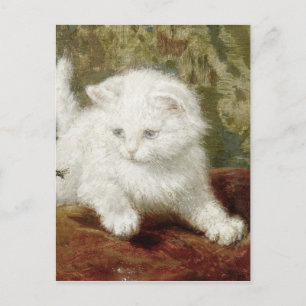 Carte Postale Vintage Henriette Ronner-Knip Curiousity