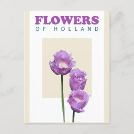 Carte Postale Vintage Holland Pays-Bas Purple Tulips Voyage