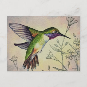 Carte Postale Vintage Hummingbird No 2 Aquarelle Art