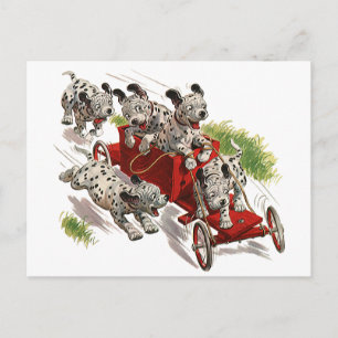 Carte Postale Vintage Humour mignon Chiens de chiot dalmate Cami