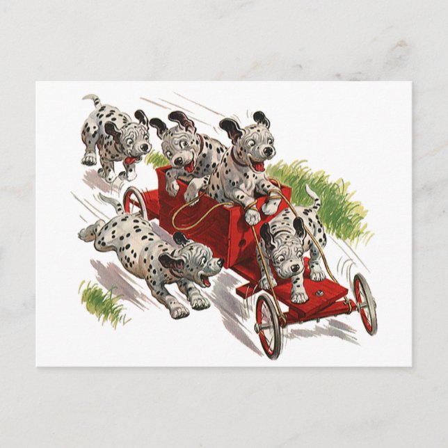 Carte Postale Vintage Humour mignon Chiens de chiot dalmate Cami (Devant)