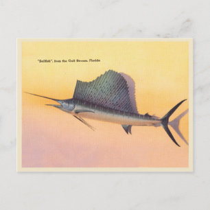 Carte Postale Vintage image de poisson-voile, ruisseau de golfe 