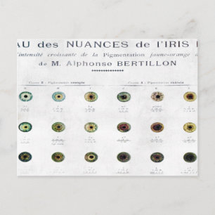 Carte postale vintage Iris Color Chart
