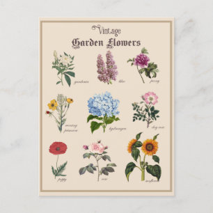 Carte Postale Vintage Jardin victorien Floral