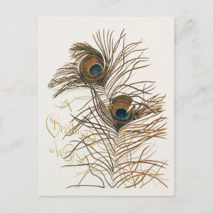 Carte Postale Vintage Joyeux Peacock Feathers de Noël