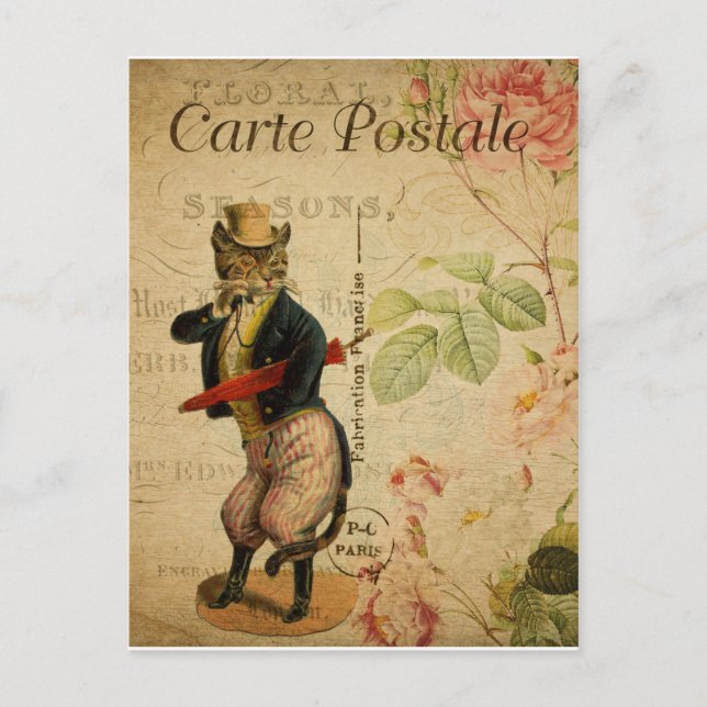 Carte Postale. Vintage Katze. Postkarte (Vorderseite)