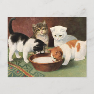 Carte Postale Vintage Katzen und Milch