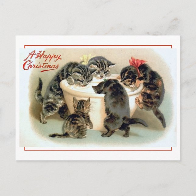 Carte Postale Vintage Kitten Fun (Devant)