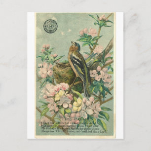Carte postale vintage Lark Bird