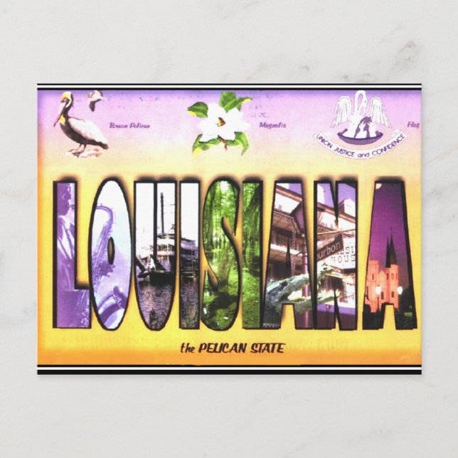 Carte postale Vintage Louisiane (Devant)