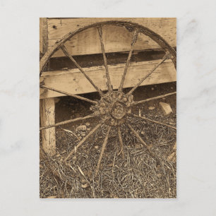 Carte Postale Vintage Maine