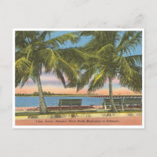 Carte Postale Vintage Manatee River Bradenton Floride
