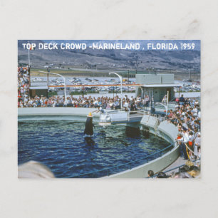 Carte Postale Vintage Marineland Floride