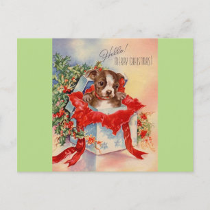 Carte Postale Vintage Mid Century Beau bébé Boston Terrier