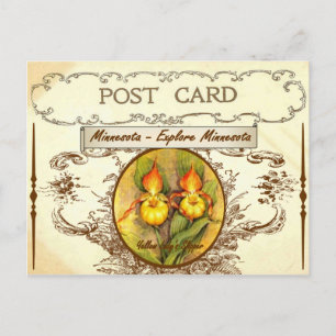 Carte postale vintage Minnesota State Flower