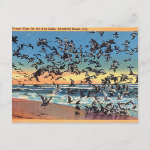 Carte Postale Vintage, Mouettes, Plage Rehoboth, Delaware