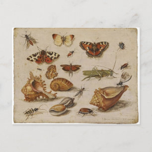 Carte Postale Vintage Nature Postcard