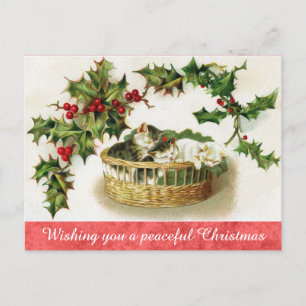 Carte Postale Vintage Noël Cute Kitten Chat