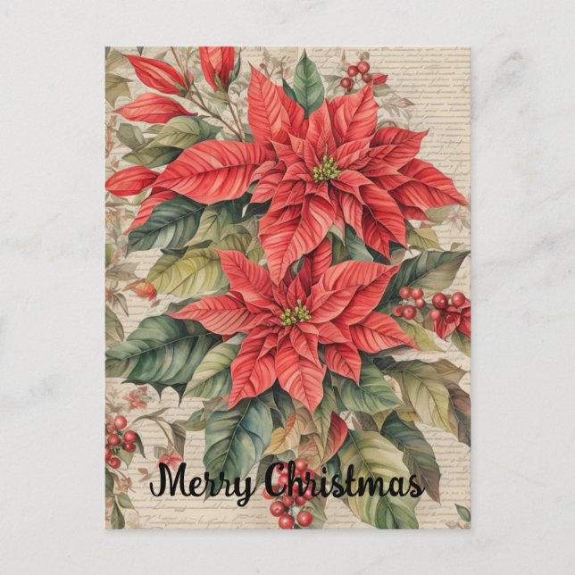 Carte Postale Vintage Noël Poinsettia Fleurs (Devant)