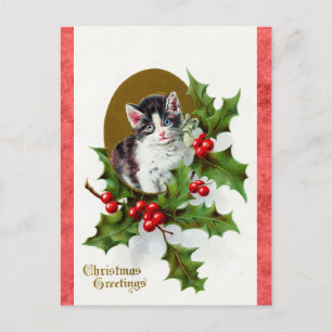 Carte Postale Vintage Noël Salutations Cute Kitten Cat