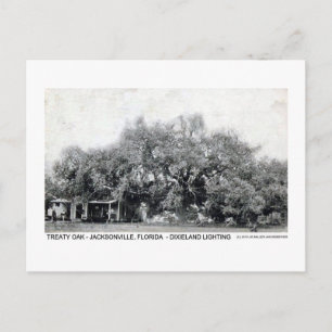 Carte postale vintage Oak Jacksonville Florida