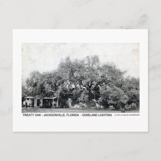 Carte postale vintage Oak Jacksonville Florida (Devant)