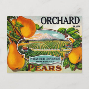 Carte postale vintage Orchard Pears