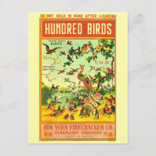 Carte postale vintage Paquet Firecracker