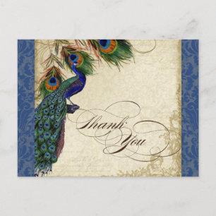 Carte Postale Vintage Peacock Feather Elegant Merci Navy