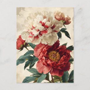 Carte Postale Vintage Peonies