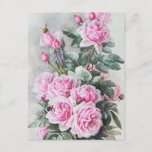 Carte Postale Vintage Pink Roses Bouquet