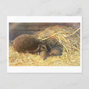 Carte postale Vintage pour maman et bébés
