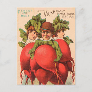 Carte Postale Vintage : publicité agricole -