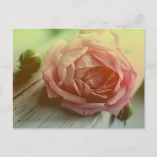 Carte postale vintage Rose Flower Floral